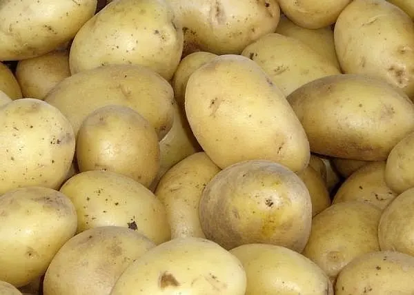 
chinese potato exporter 