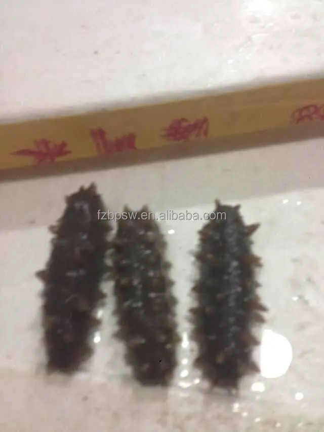 Цена на сухой морской огурец