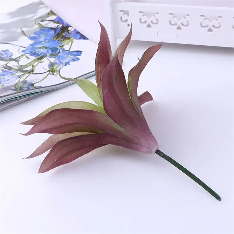 
Best selling unique design living room decorations cactus and succulents 