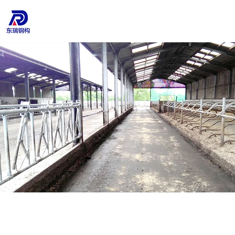 Light Frame Steel Structure Poultry Farm Shed Design Prefab Poultry House