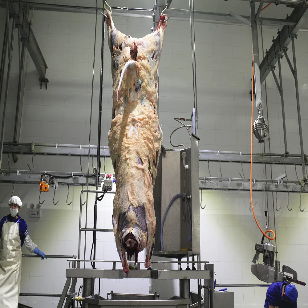 Complete Slaughterhouse Machine Halal Cattle Slaughter Line Equipment for Butcher Workshop