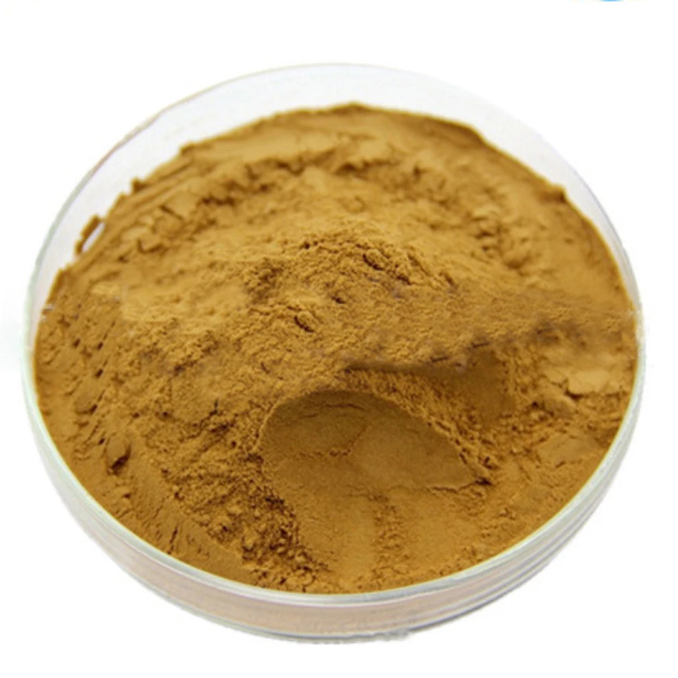 
Radix Notoginseng extract 20%-97% Panax Notoginsenosides 