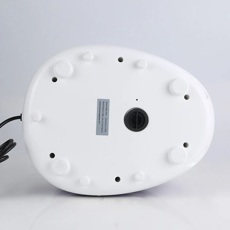 professional steam iron