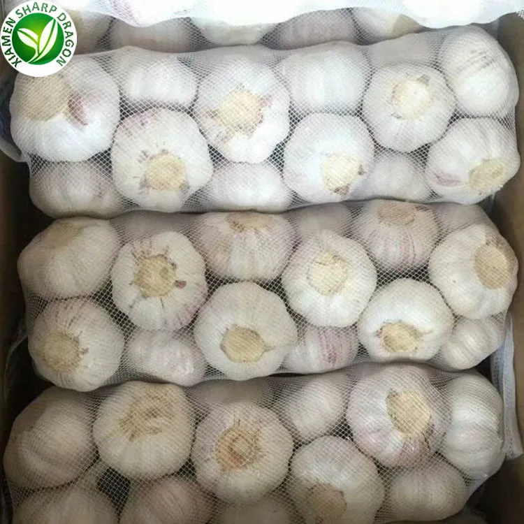 
Distributor Wholesale Fresh Chinese 4p Pure White Garlic 