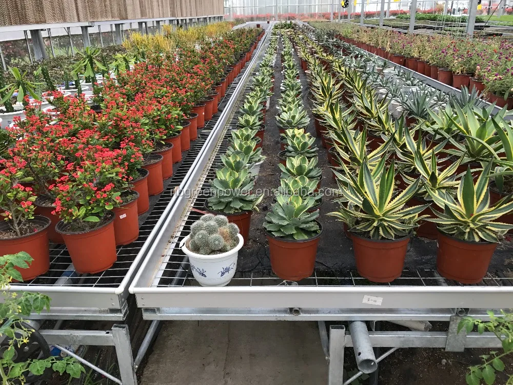 16cm 160mm cheap thin nursery plastic pots for Starting seedlings