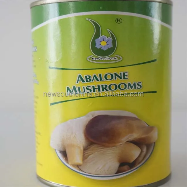 Best Canned Abalone mushroom in brine price 425g