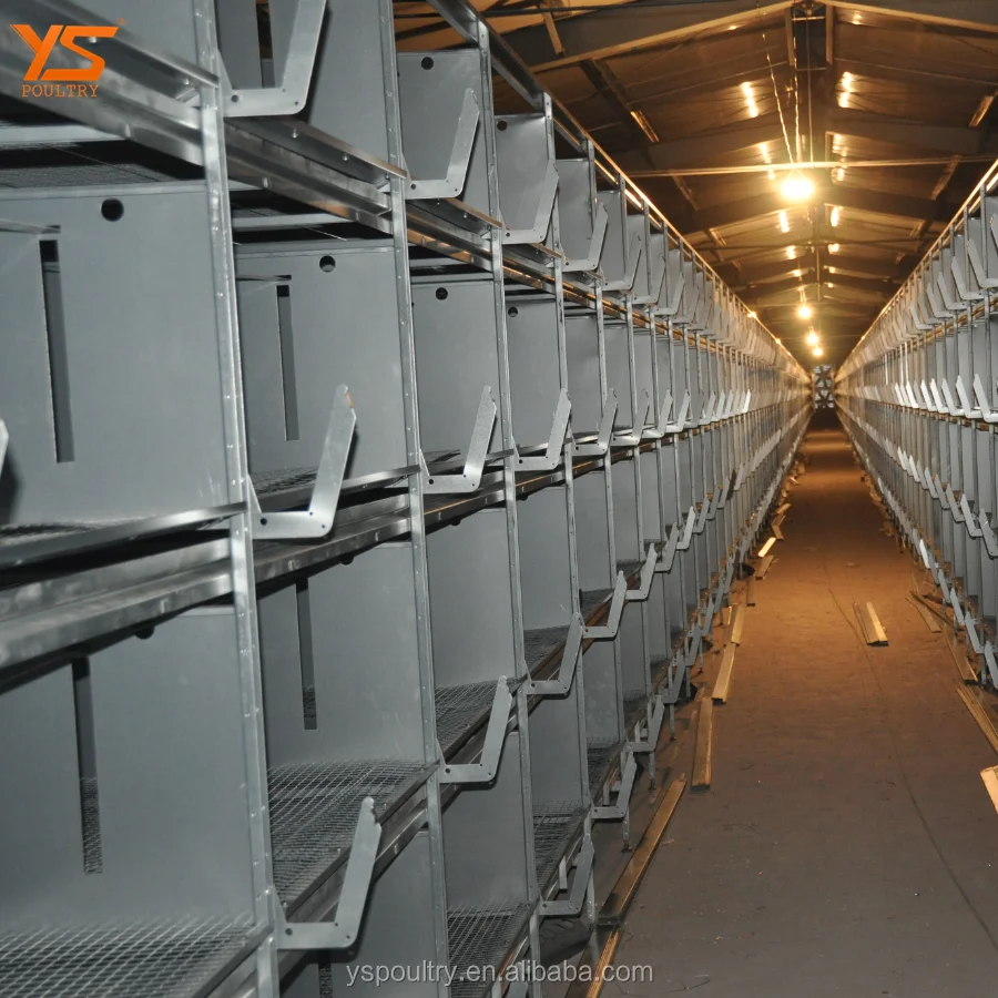 Latest Design H Frame Pullet Metal Chicken Cage