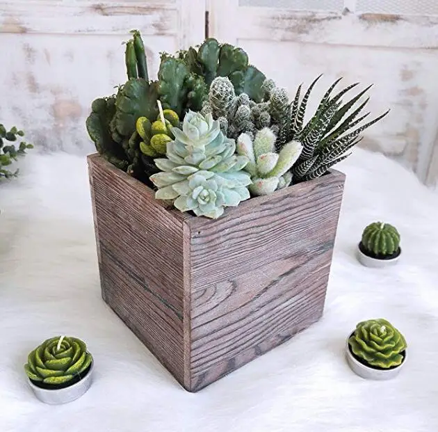 1 шт. деревянный ящик для рассады квадратная деревянная ваза суккуленты Цветочный комнатных растений-5 1» с квадратным носком рустикальная Свадьба Природный