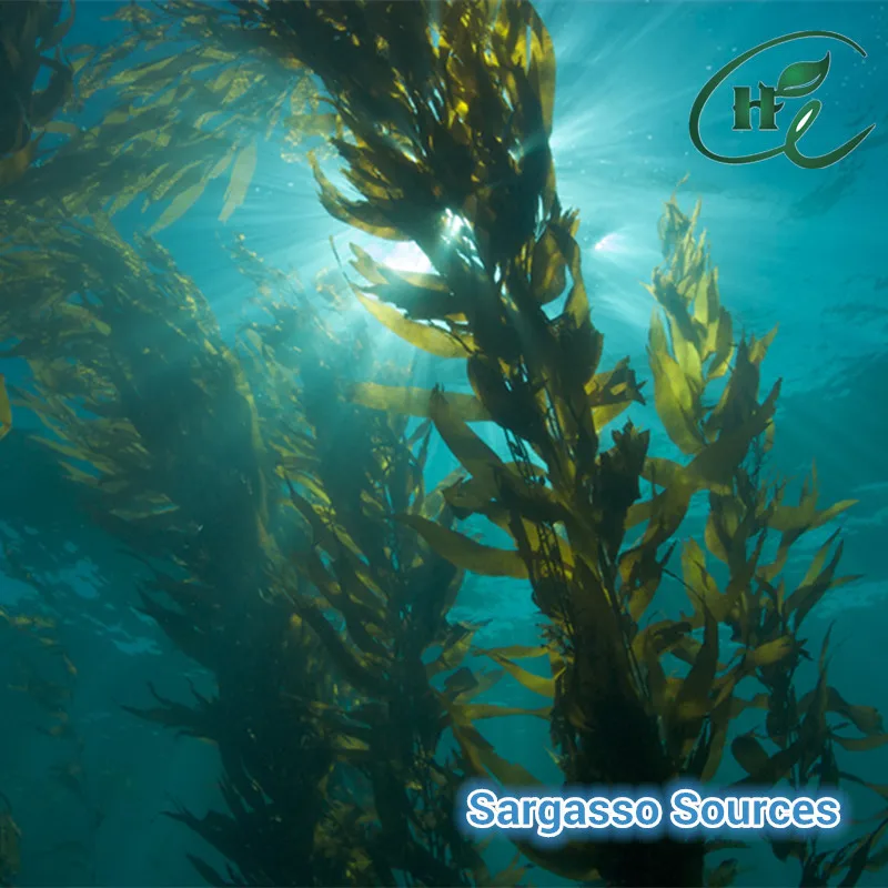 HuminRich Seplus Alginic Acid 15% 17% 19% Seaweed Extract Fertilizer Powder for Soil Application