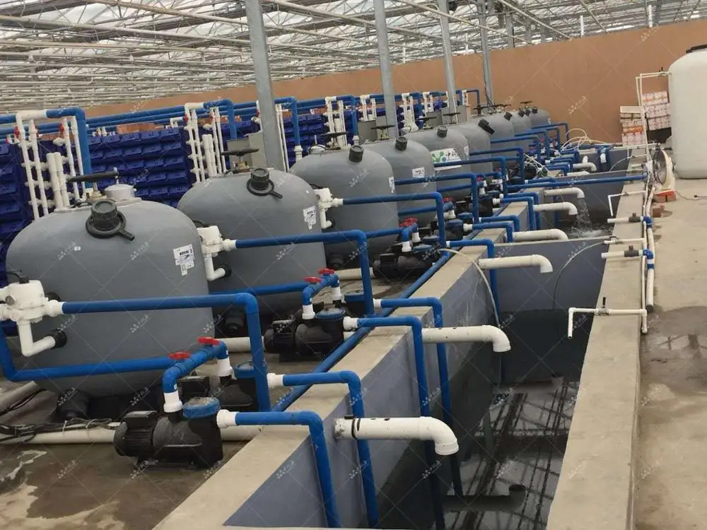 Sand filter for recycling water aquaculture