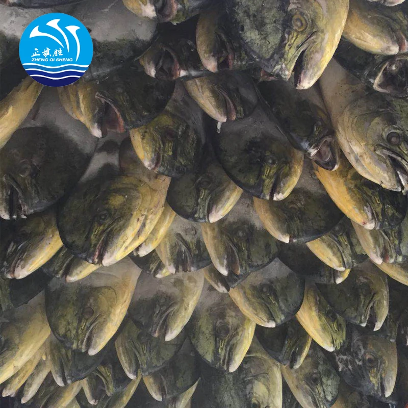 Морепродукты, экспорт замороженной рыбы mahi от китайского поставщика