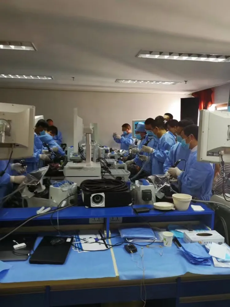 DELON 1CCD SD Card camera medical endoscopy