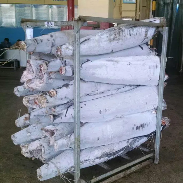 2019 Hot sale New Arrival High Quality Blue Marlin For Market Or Can