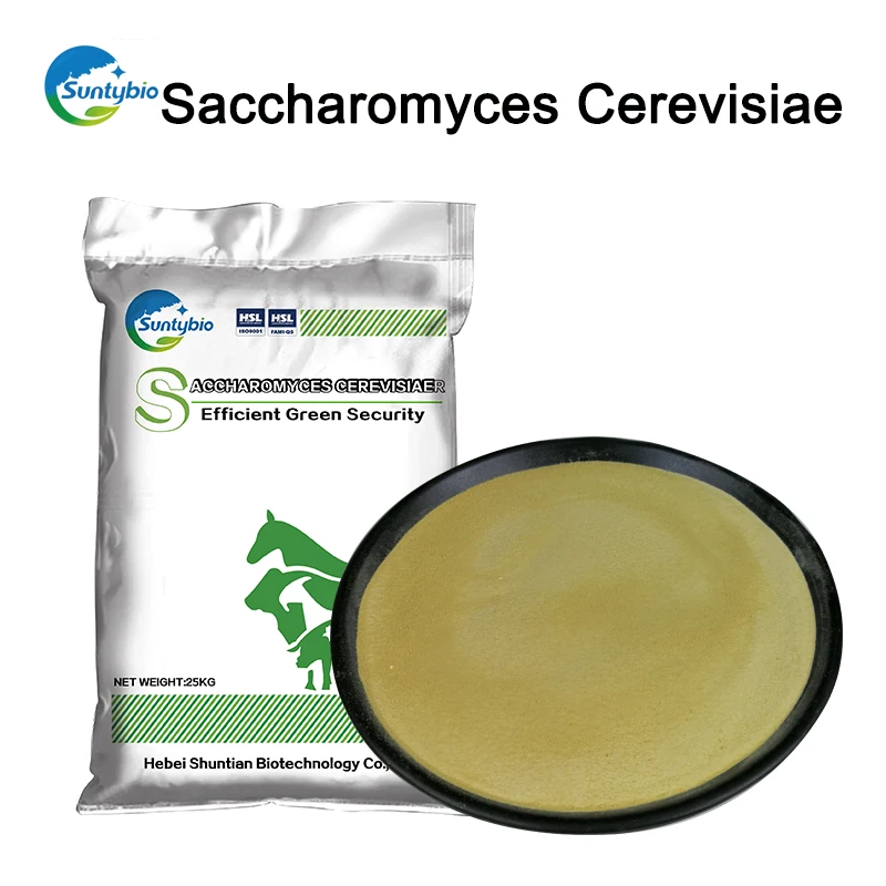 
China Suppliers Brewer Yeast Saccharomyces Cerevisiae with Free Sample 