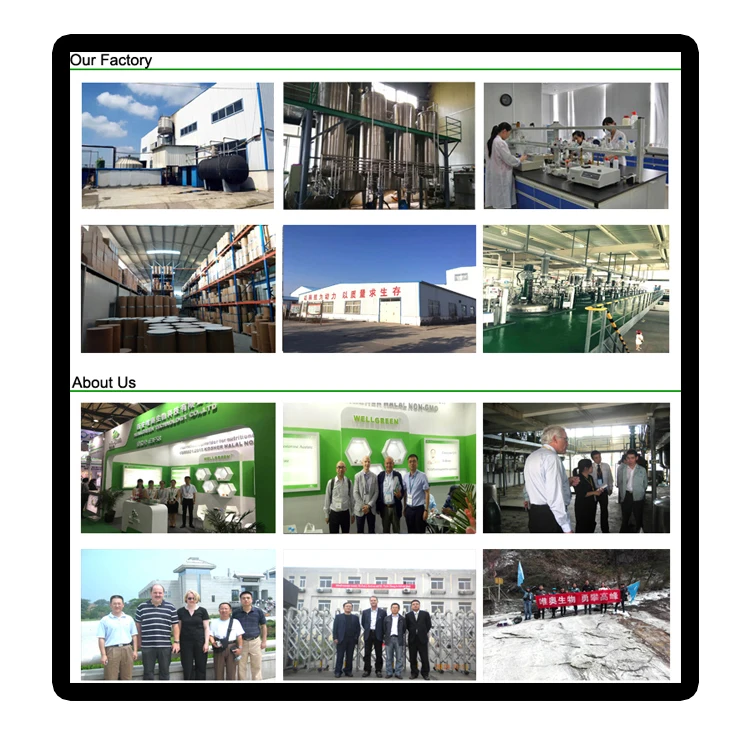 
74-79-3 Pharma Grade Water Soluble 1kg Bulk Powder Price L Arginine L-arginine 