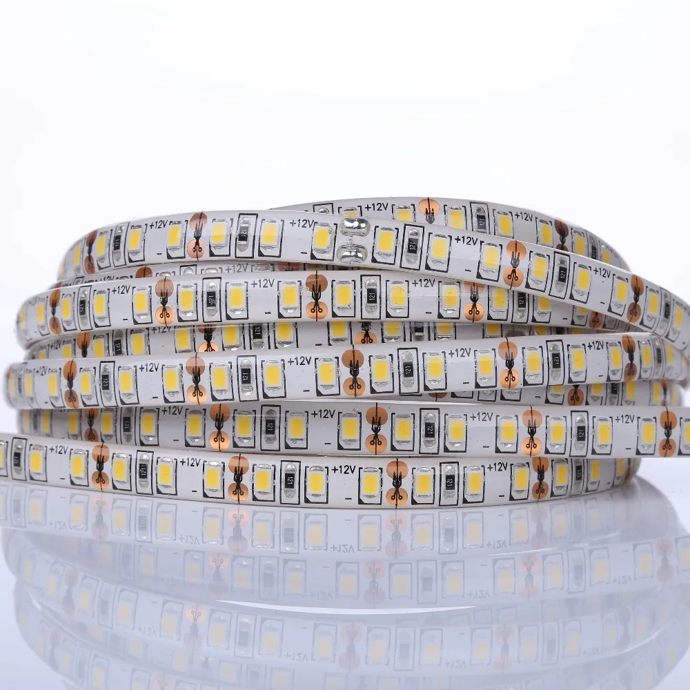 SMD 2216 5050 3528 3014 2835 5630 IP65 IP67 IP68 Waterproof Outdoor 24V Flex LED Stripe