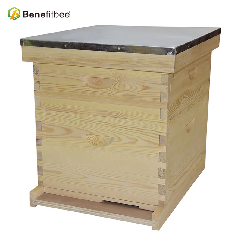 Wholesale Bee Langstroth Beekeeping Wooden Beehive Box  For Beekeeping Kit