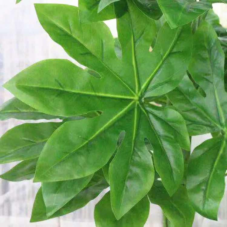 
Made in china artificial papaya tree , indoor decorative papaya tree plant 