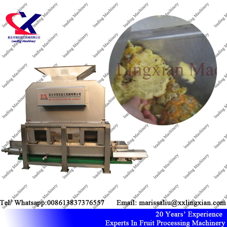 Производитель Китай питания От 2 до 3 лет/ч машины для ананас обработки