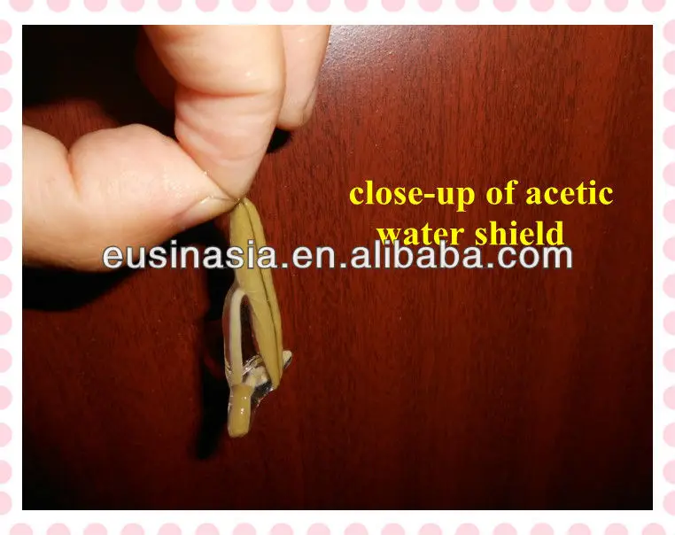 Fresh vegetables of Brasenia schreberi