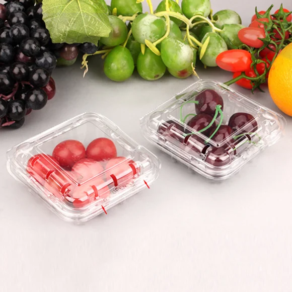 Plastic 125g Disposable Strawberry Blueberry Clamshell Packaging