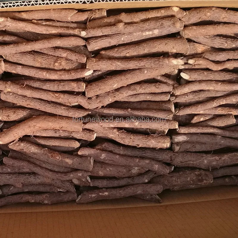 Дезинфицирующее средство гибрид павловнии 9503