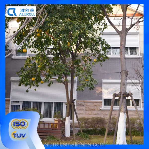 Electric Window Aluminum Rolling Shutter