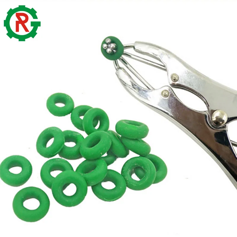 Veterinary Instruments castration equipment for pig piglet