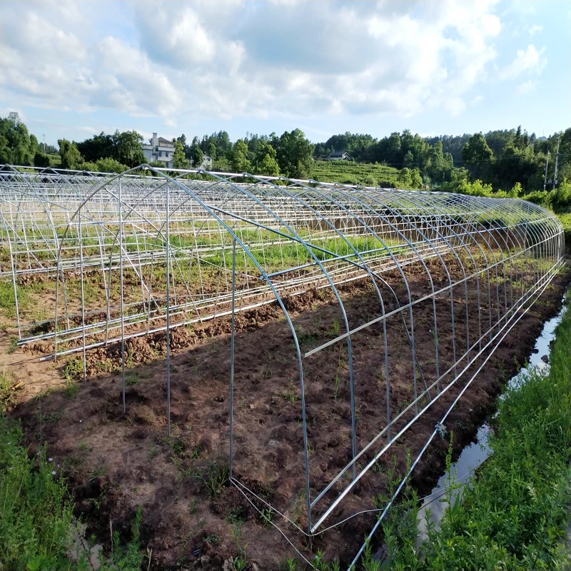 China Brand Factory Price UV Treated Agricultural Plastic Film Tunnel Greenhouse With 150/200 micron film