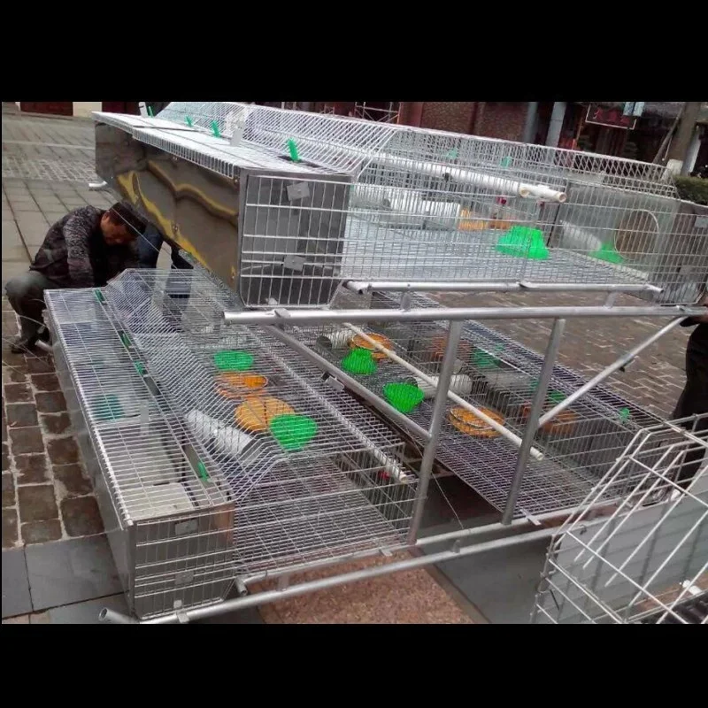 Hot Sale for China Standard Rabbit Layer Cage(ISO9001) with Automatic Machine