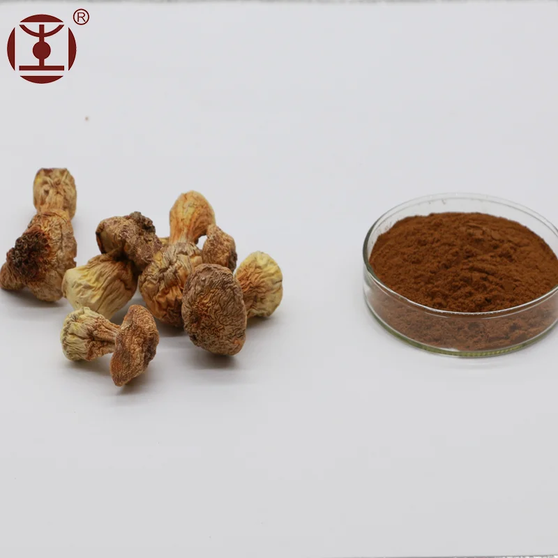  Органический порошок Agaricus blazei (Бразильский гриб) для пищевых продуктов и