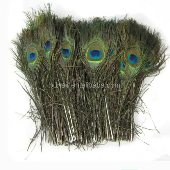 
Long peacock feathers 50cm,60cm,70cm 