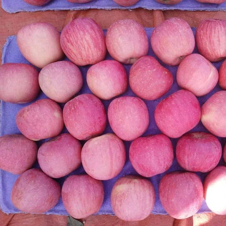 
Bag Packaging and 20 Weight (kg) fresh fuji apple fresh sugar apple for sale fruit fresh 
