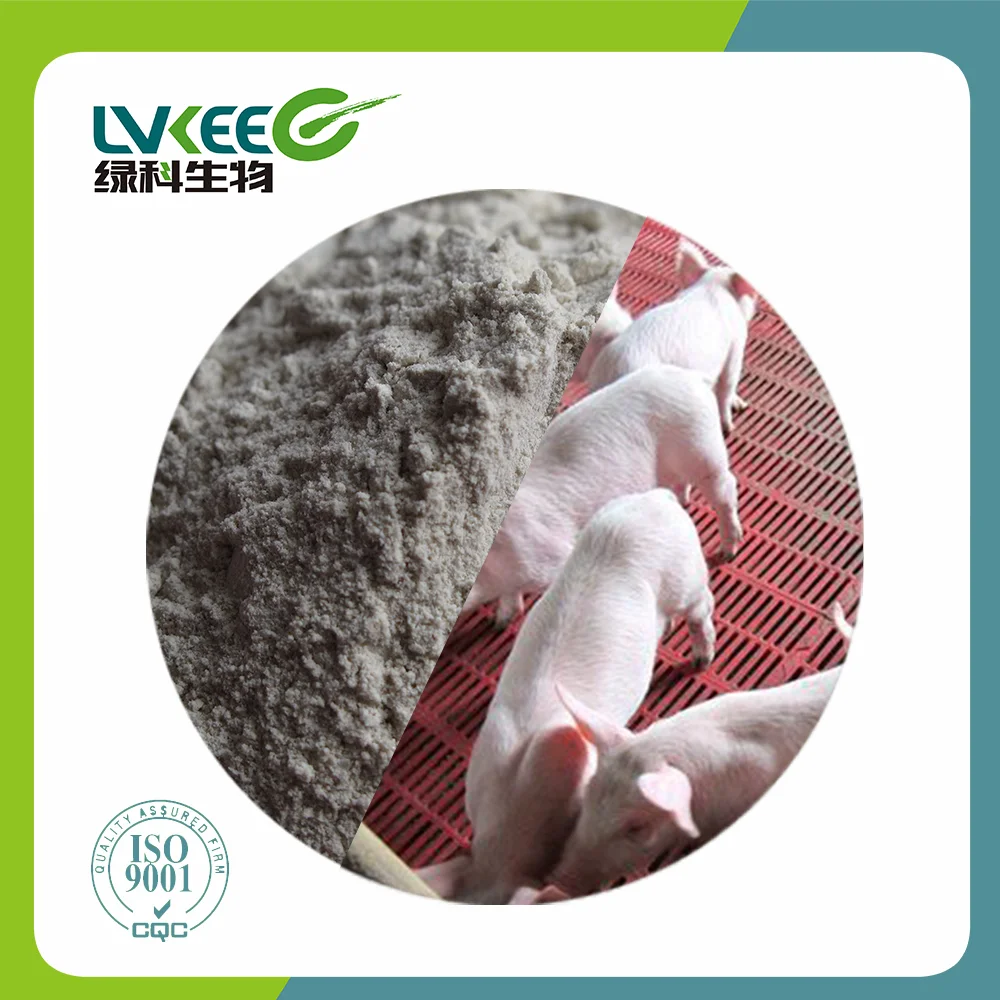 High Quality 50 bilion cfu/g Bacillus Laterosporus for animal additives supplements