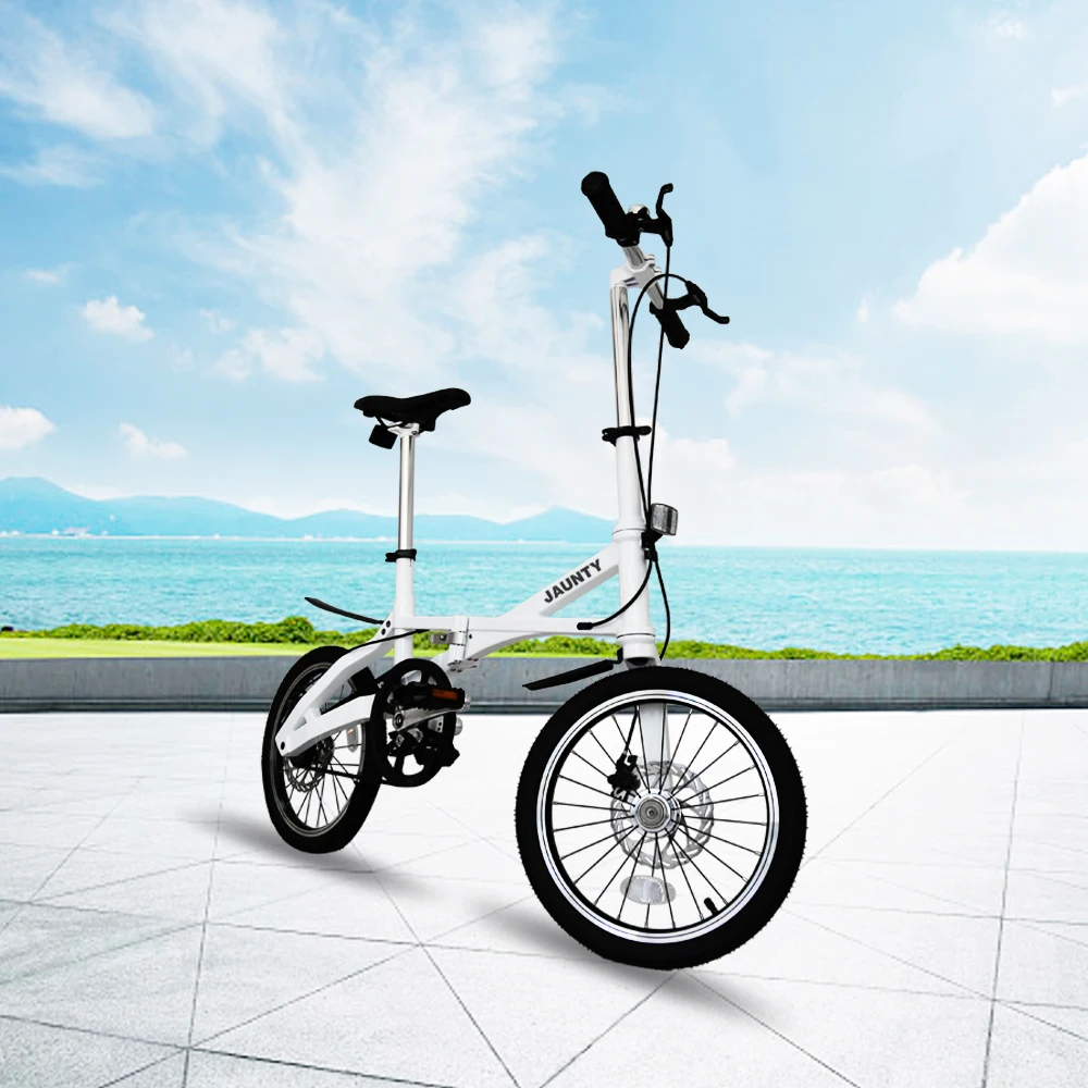 
Professional manufacturer fat tire bike adult with factory price 