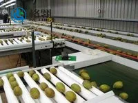 Customized hot selling Tomato juice and jam production line Best sell 2020