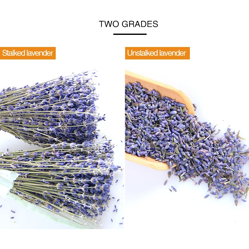 Newly Harvested Dried Lavender Wholesale Dried lavender Bundle with Good Smell