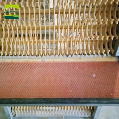 Poultry egg collection system Egg Collecting System egg collecting automation poultry farming equipment