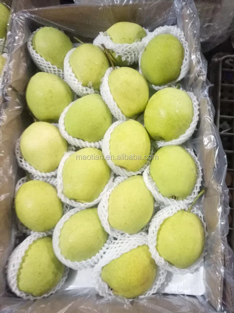
Fresh Shandong Pears 