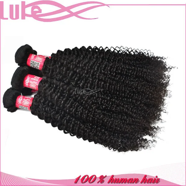 Hair Style Afro Curly Hair Braids In Human Hair Extensions