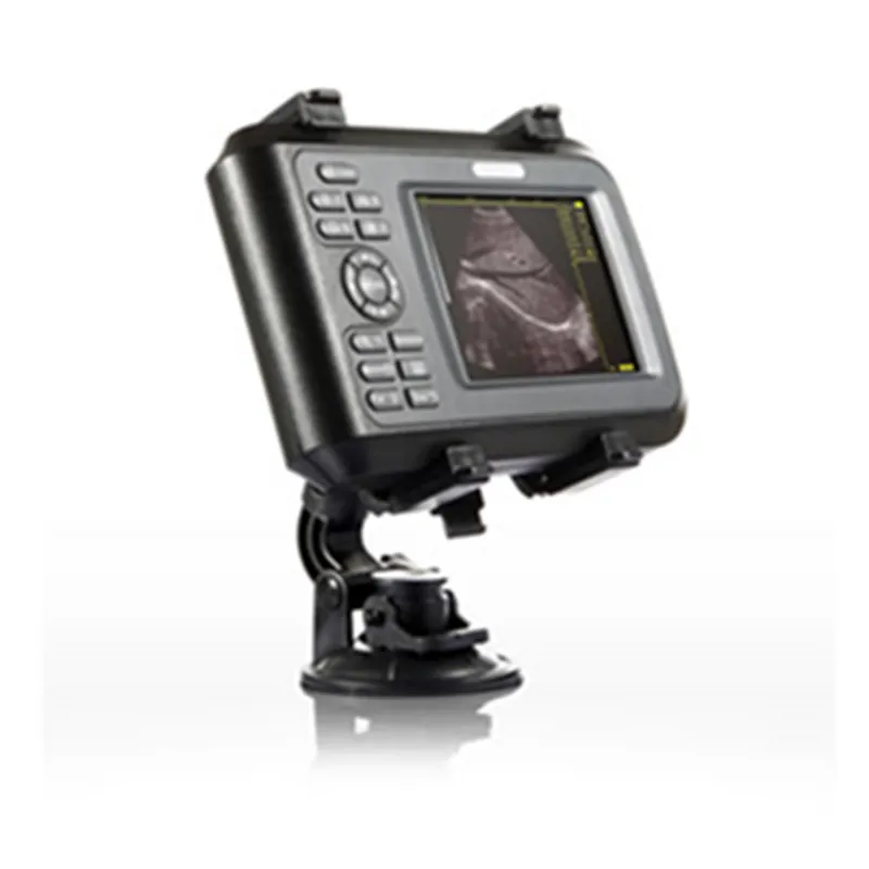 
Digital Portable Veterinary Ultrasound Scanner Diagnostic System For Pig And Dog 