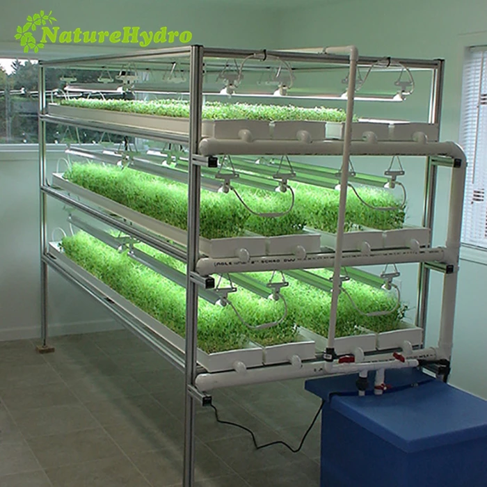 Hydroponic forage systems alfalfa fodder system for sale