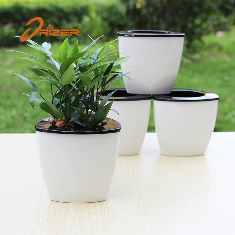 Hot sale self watering lazy succulent plants plastic flowerpot