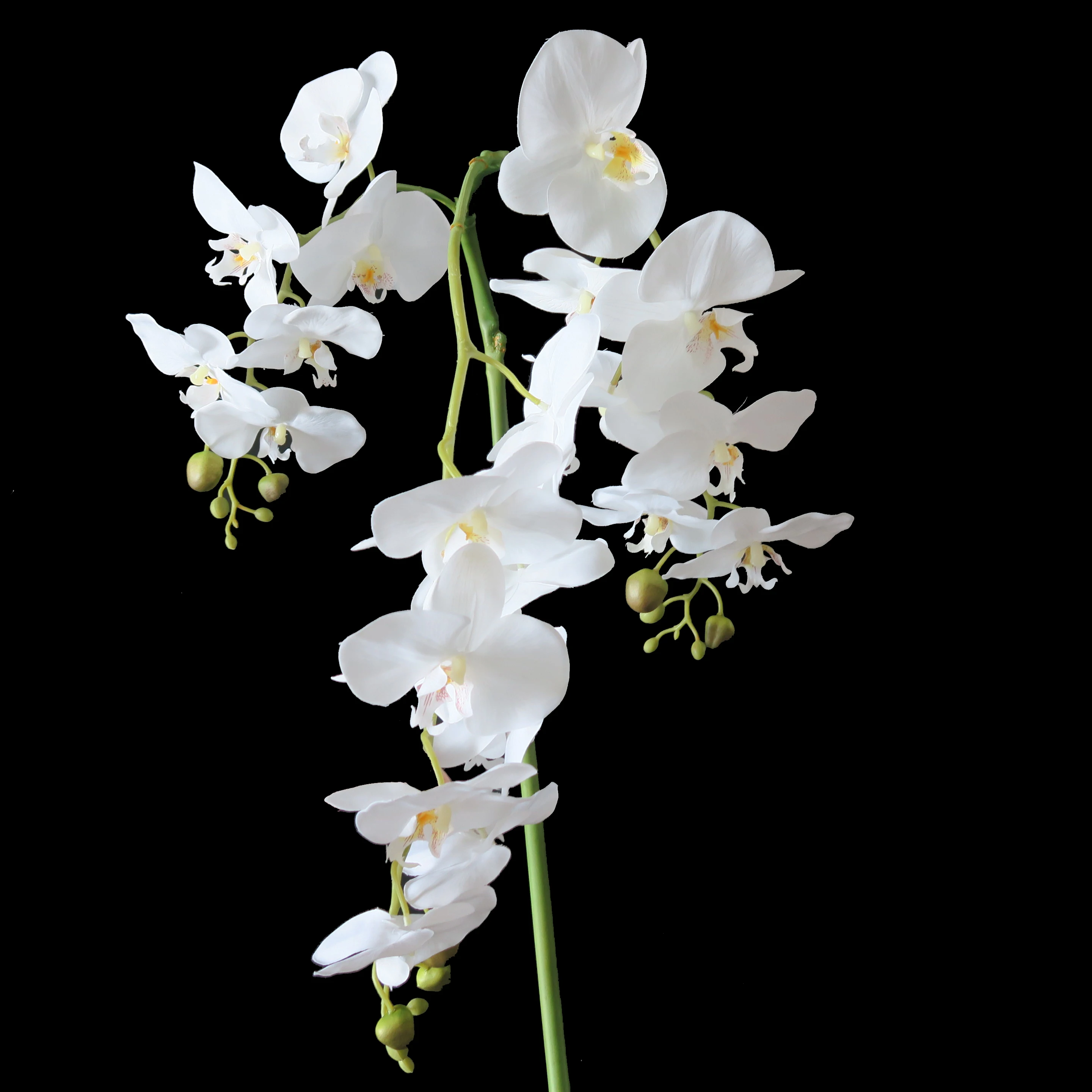 52cm Simulation White Phalaenopsis Orchid with Pot and Leaves