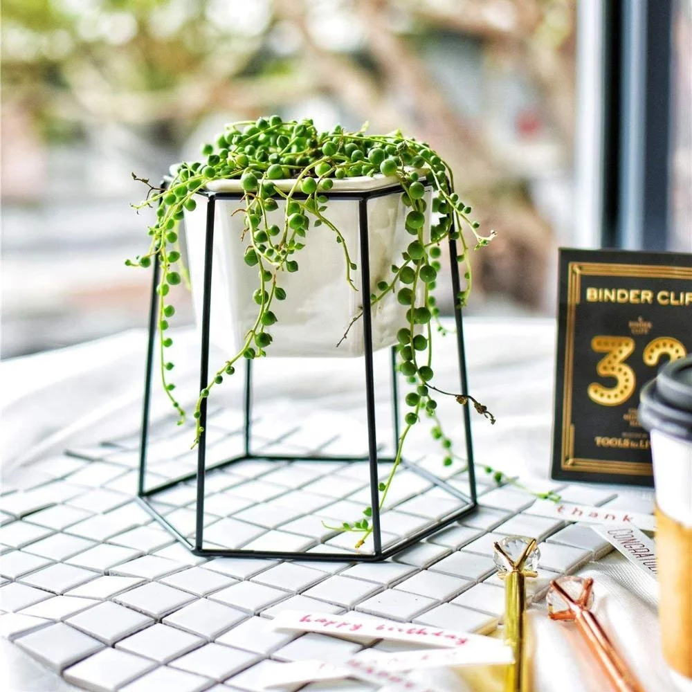 OEM 551-17 Modern Design Gold Hexagon Planter Flower Pot Holder Metal Iron Rack for Succulents Herbs Cactus Plants