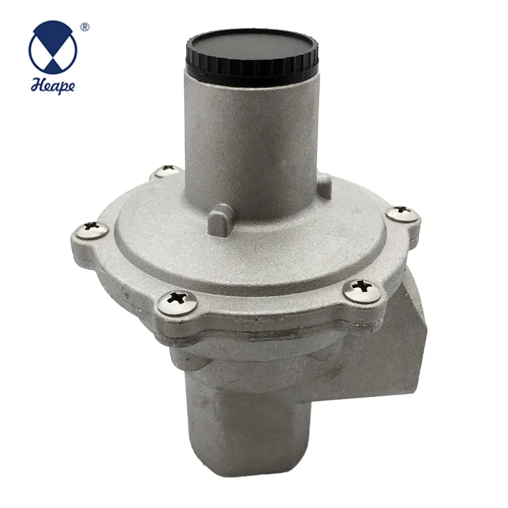 
HEAPE Europe And India Standard Pipe Natural Gas Regulator 