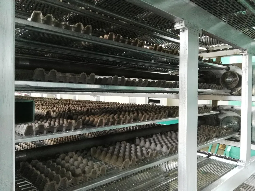 waste paper recycle used egg tray machine/automatic paper pulp egg tray production line/small machine making egg tray
