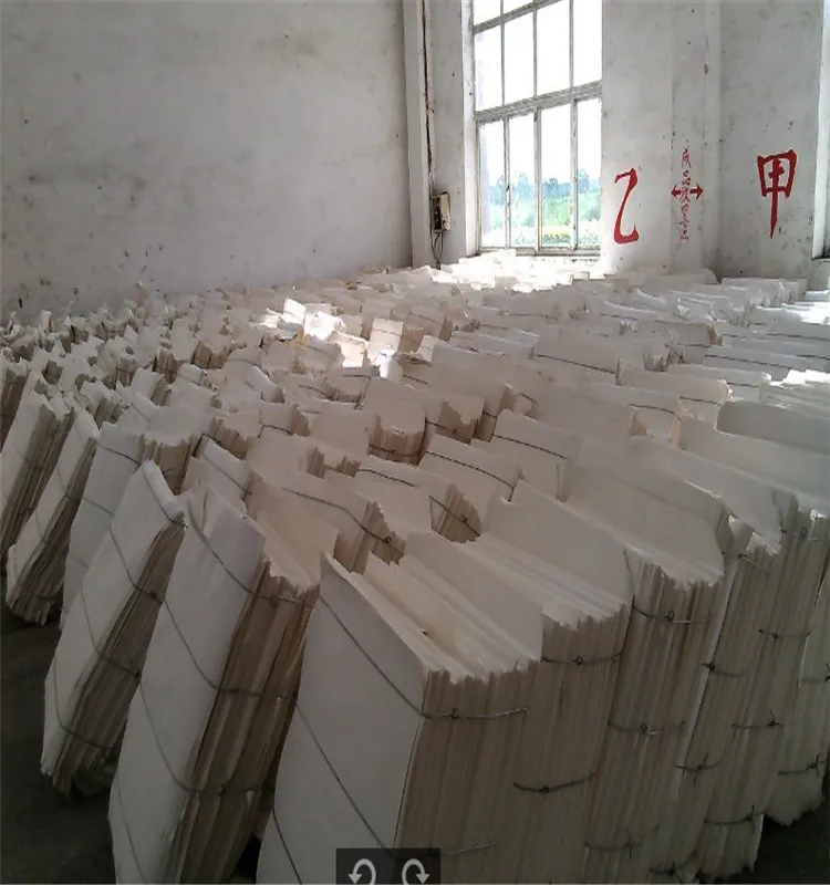 Prime Quality Bagasse Pulp for Food Boxes