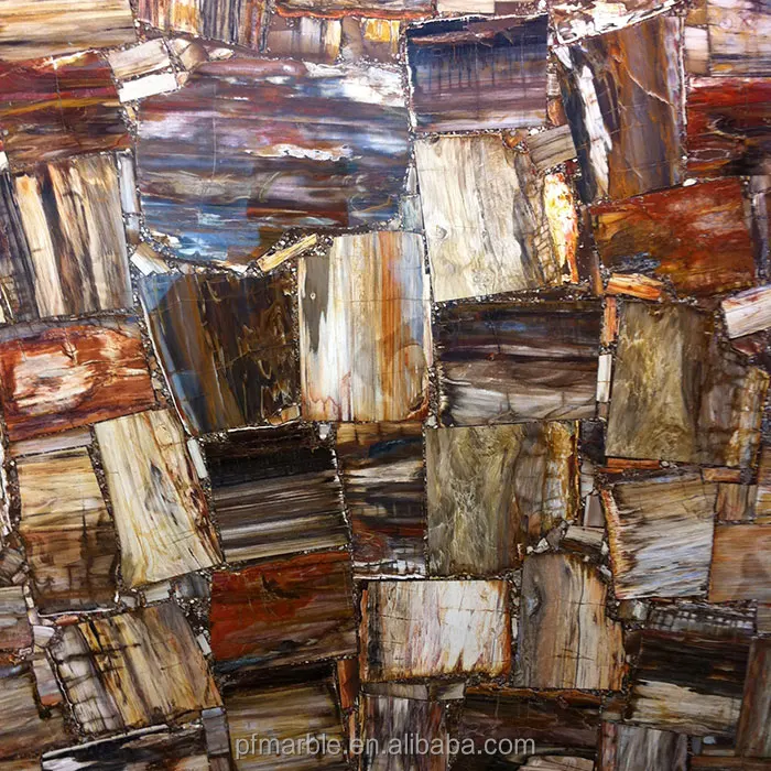 high quality nature gemstone petrified wood jurassic wall and floor decor slabs