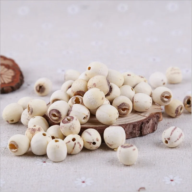 lotus_seed_without_core (1).JPG